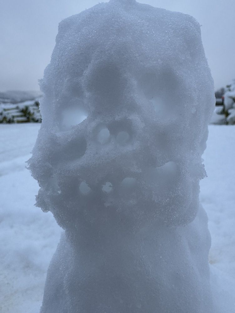 Photograph by Büşra Bekar