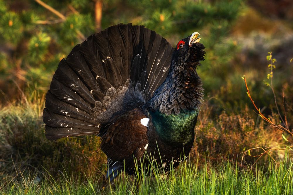 Photograph by Dace Spalvina