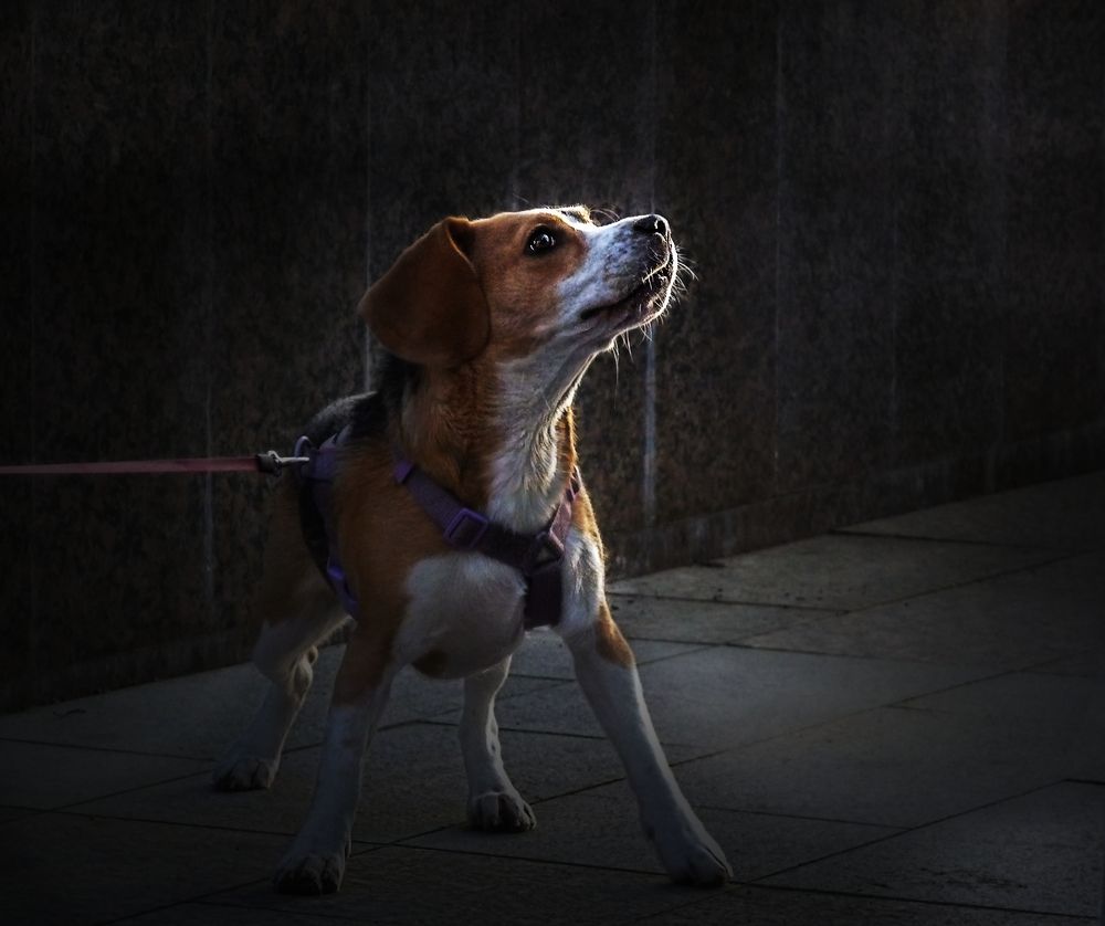 Photograph by Валерий Алфимов