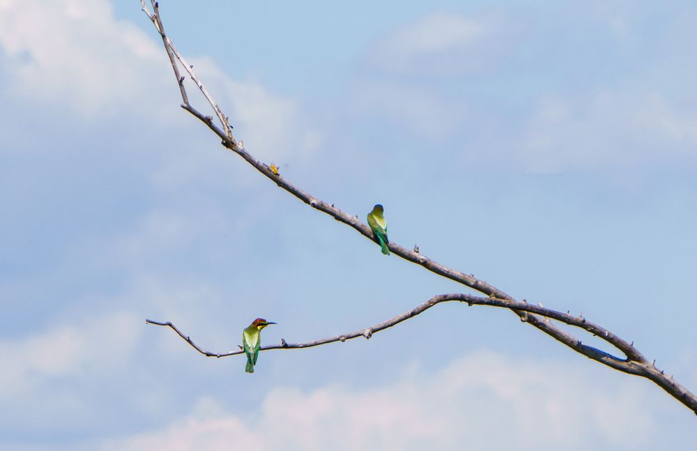 Photograph by Елена