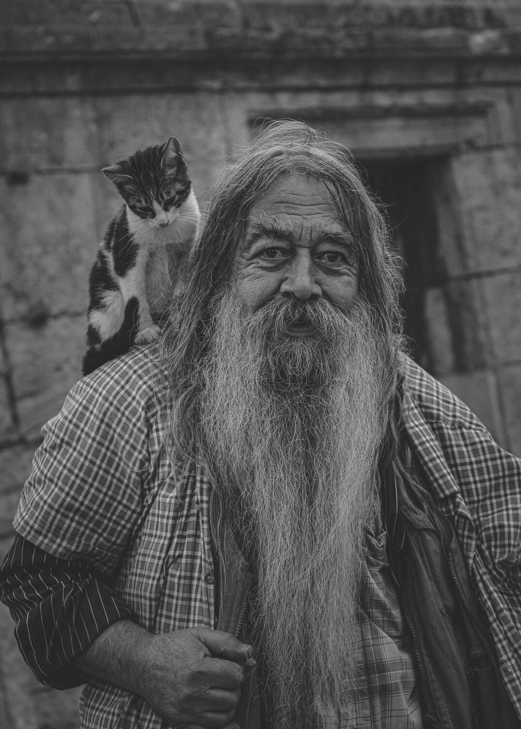 Photo #13106296