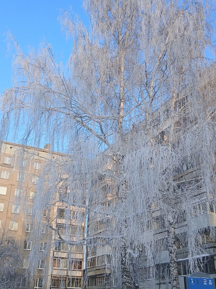 Photo #13106327