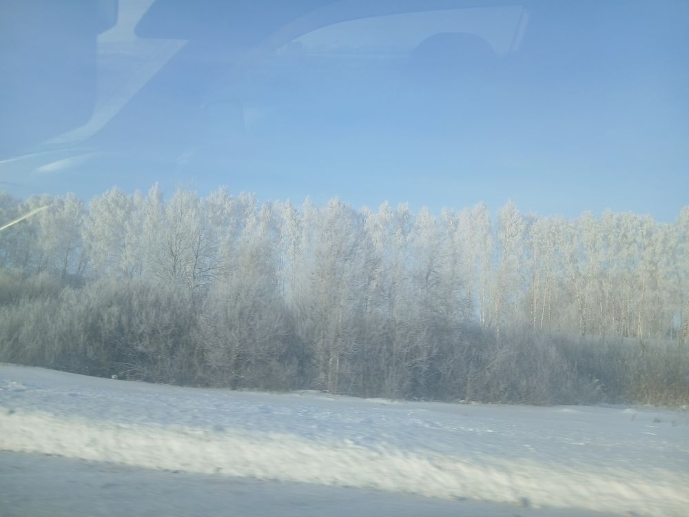 Photo #13106340