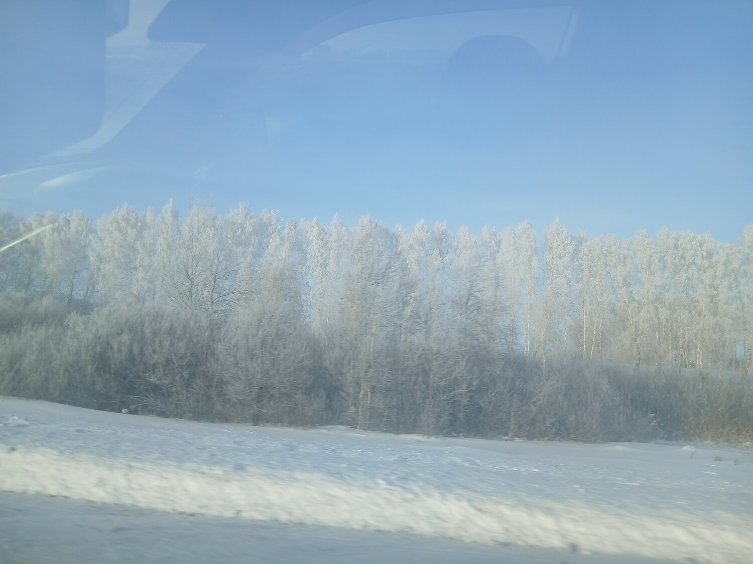Photo #13106340
