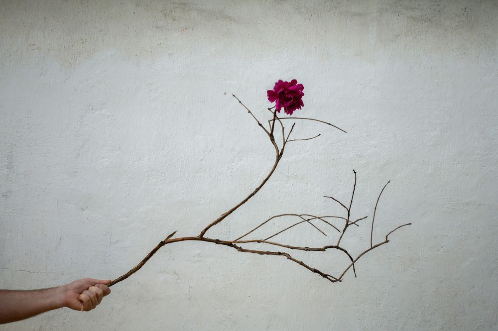 Photograph by Ирина Стоянкова