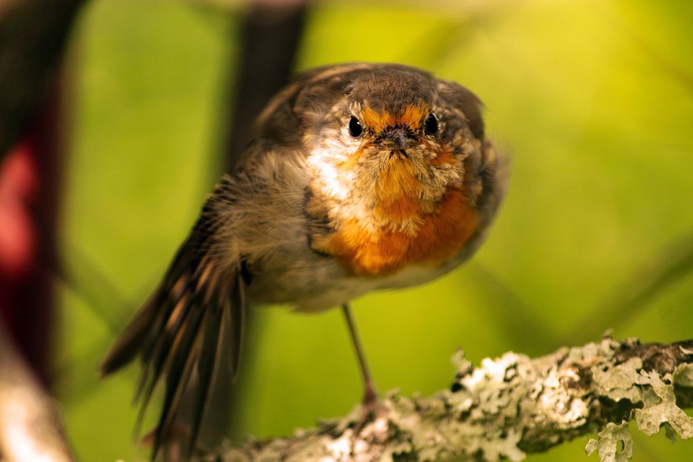 Photograph by Никита Иванов