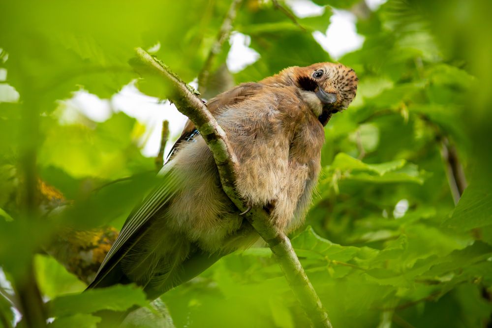 Photograph by Никита Иванов