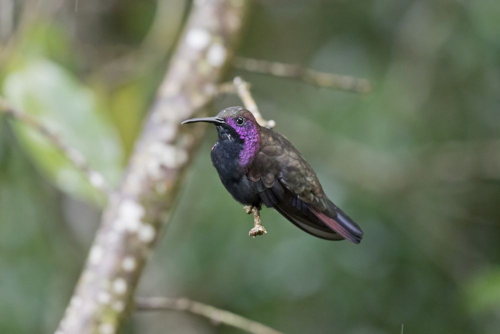 Photograph by Максим Мураков