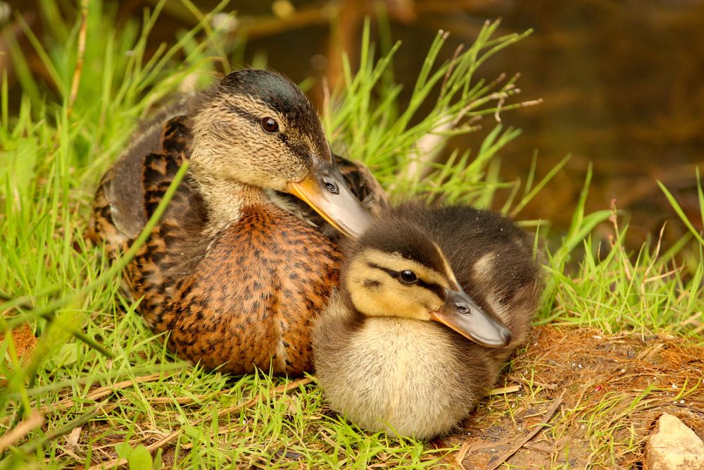 Photograph by Никита Иванов