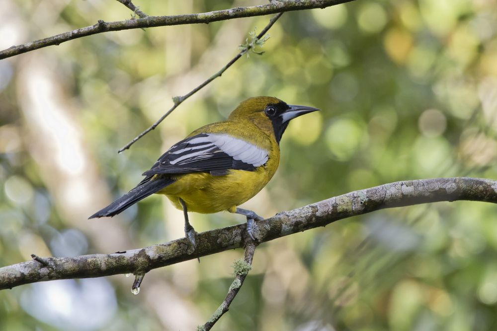 Photograph by Максим Мураков