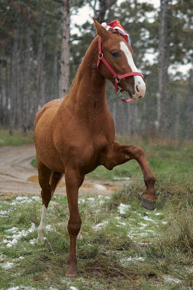 Фотография автора Дарья Кравченко