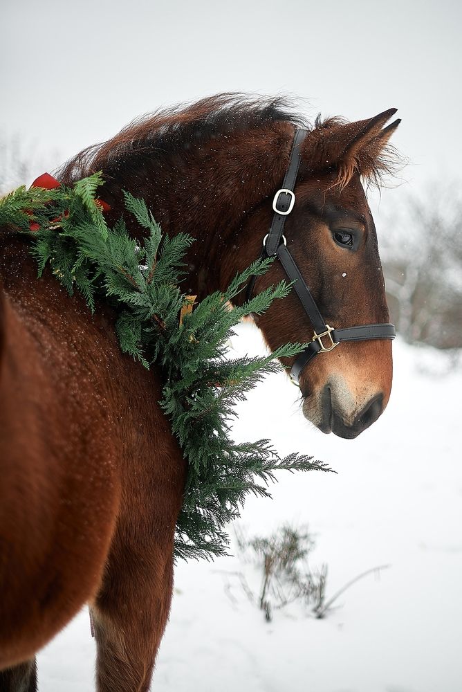 Фотография автора Дарья Кравченко