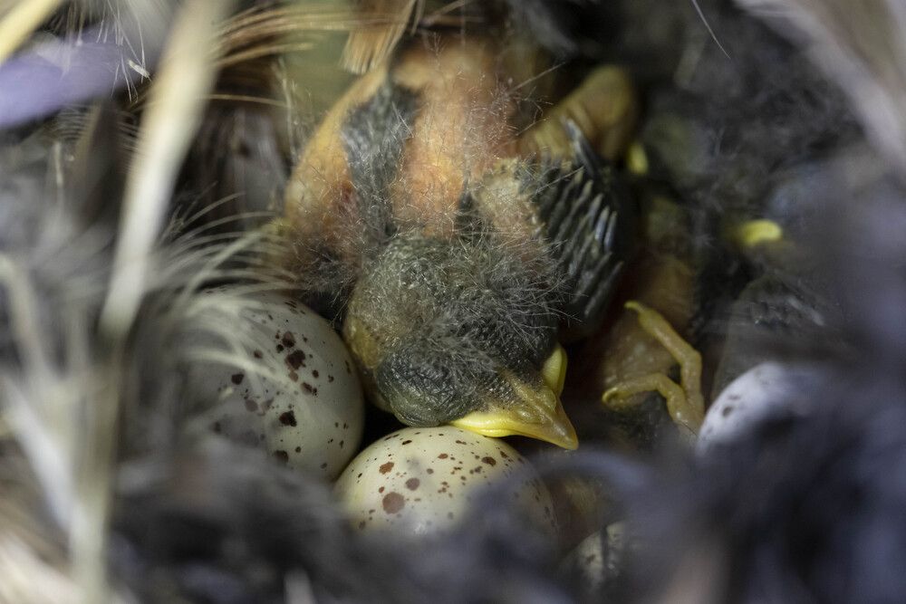 Photograph by Максим Мураков