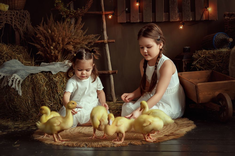 Photograph by Арина Рымакова