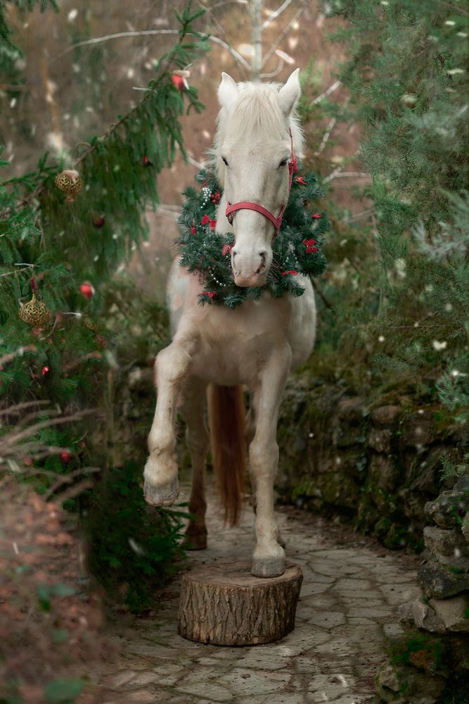 Фотография автора Дарья Кравченко