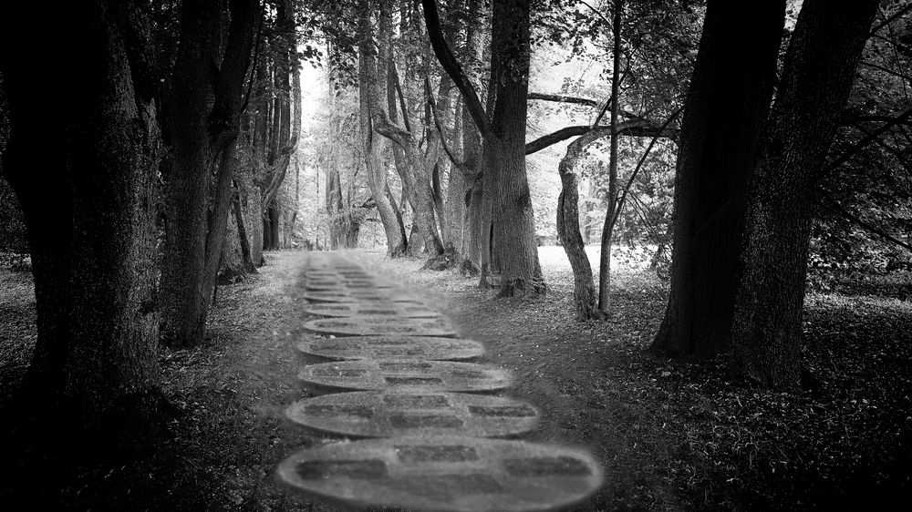 Photograph by Михаил Силантьев