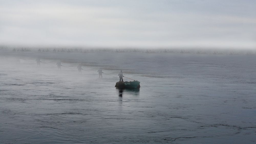 Photograph by Михаил Силантьев