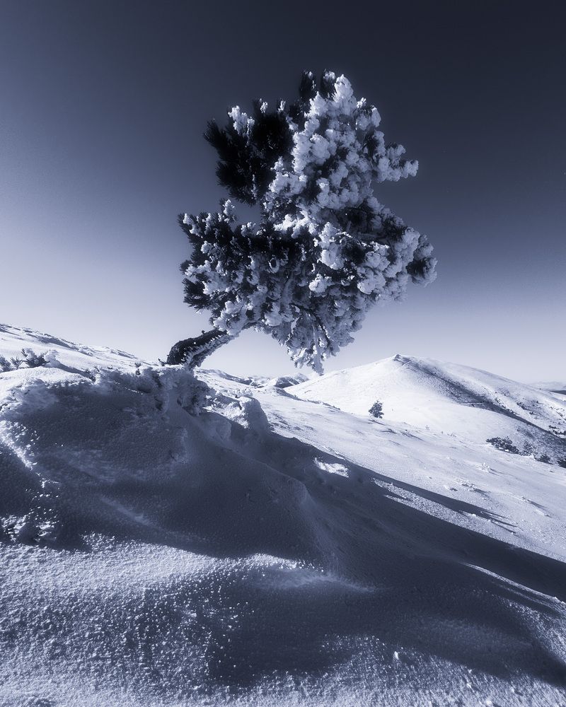 Фотография автора Lyuboslav Bochev