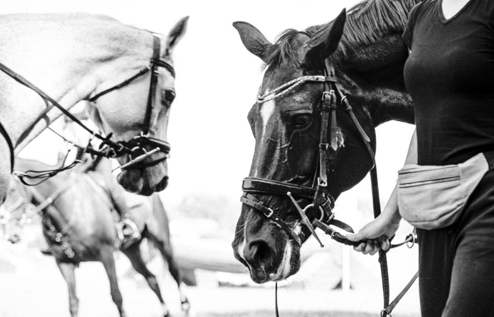 Photograph by Ника Прокопенко