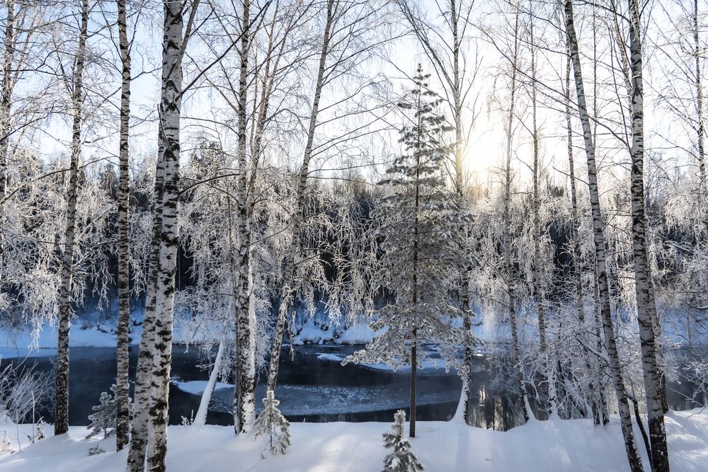 Photograph by Высотских Владимир