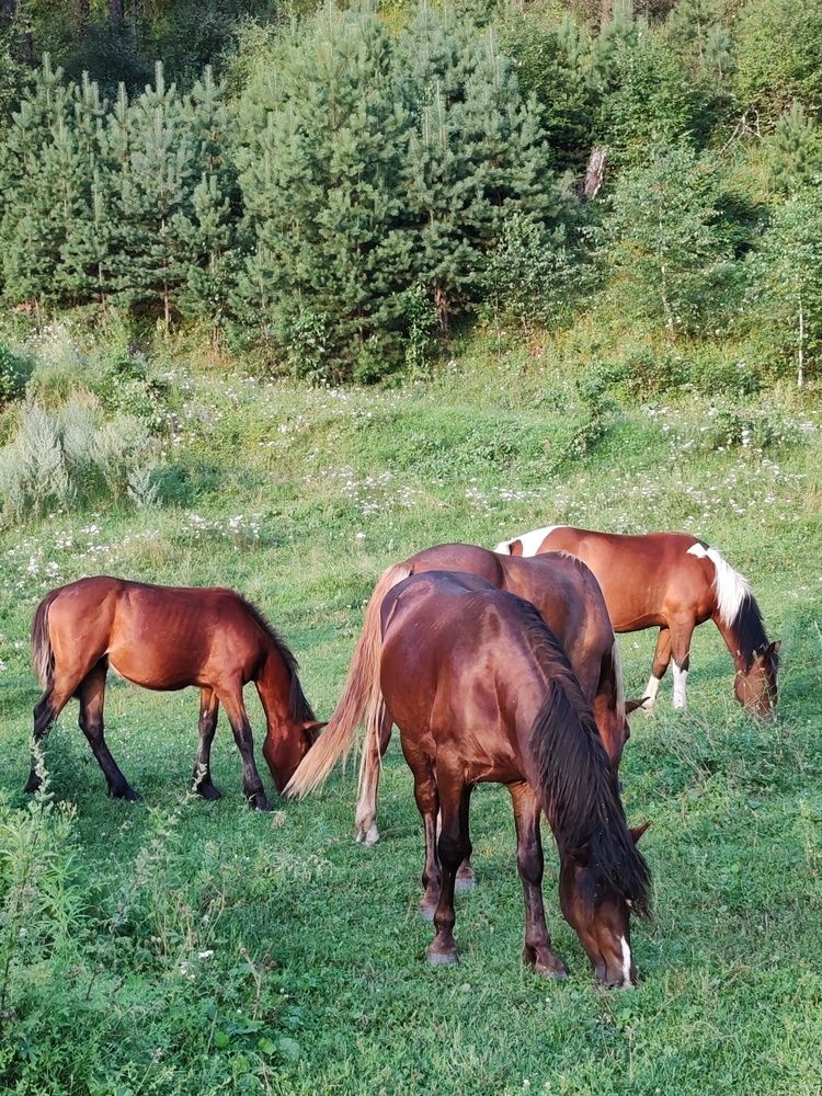 Photograph by Наталья Круглова