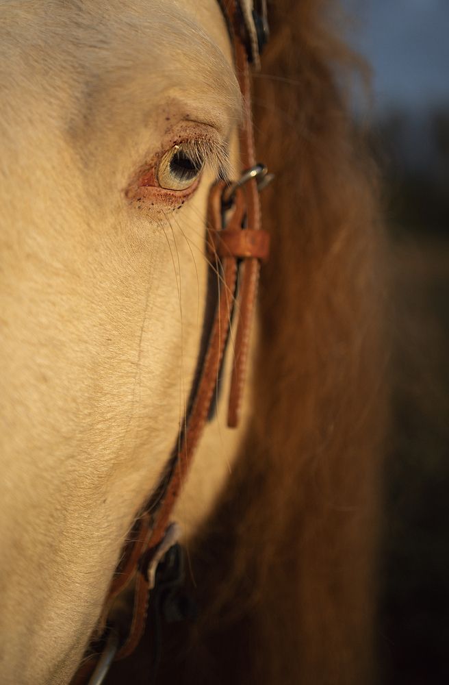 Photograph by Екатерина Крыга