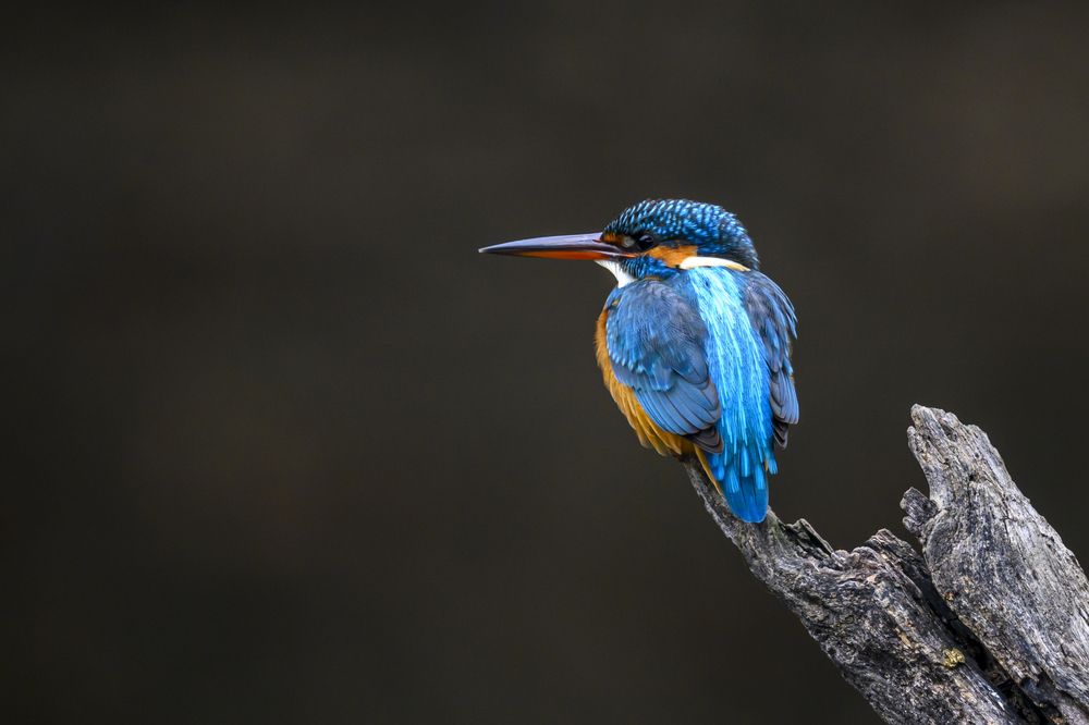 Photograph by Пупонин Сергей