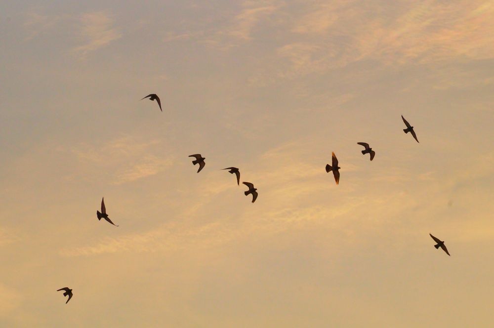 Photograph by Анастасия Юрьева