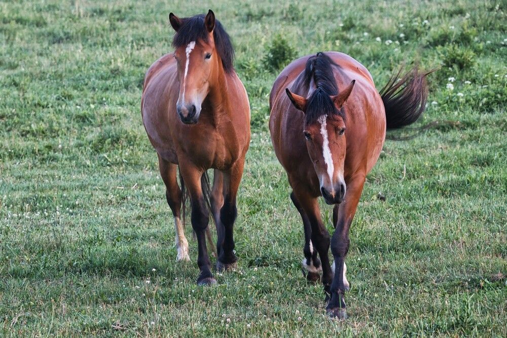 Фотография автора Janis Serdienis