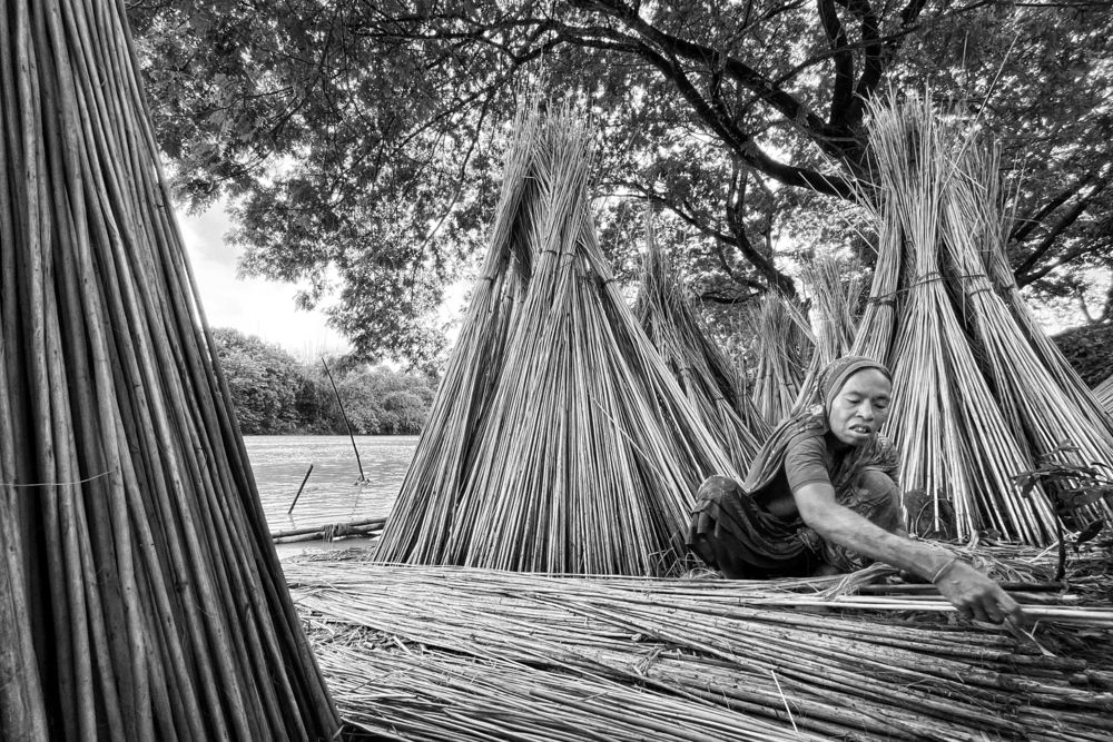 Photograph by Washiful Majid