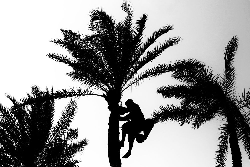Photograph by Washiful Majid