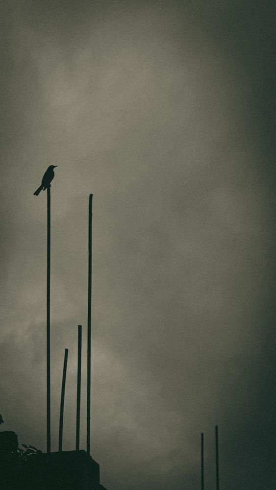 Photograph by Debayan Bhattacharya