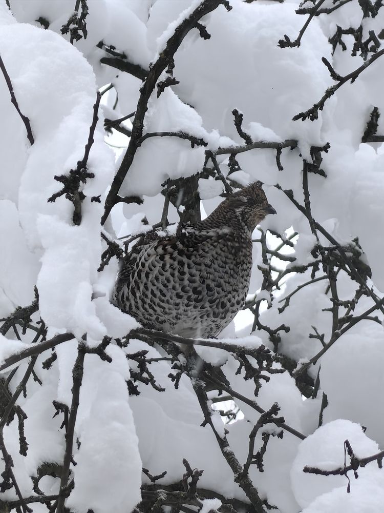 Photograph by Ольга Зимарина