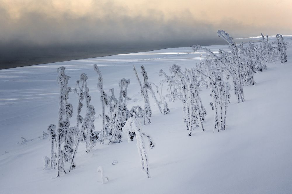 Фотография автора Олег Тетерин