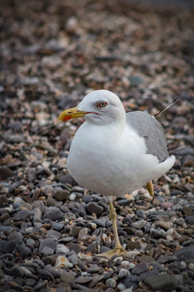 Photograph by Роман Гурененко