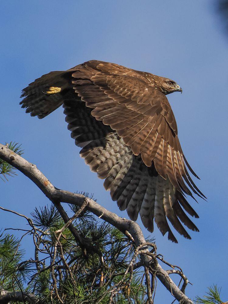 Photograph by Георгий Акопджанов