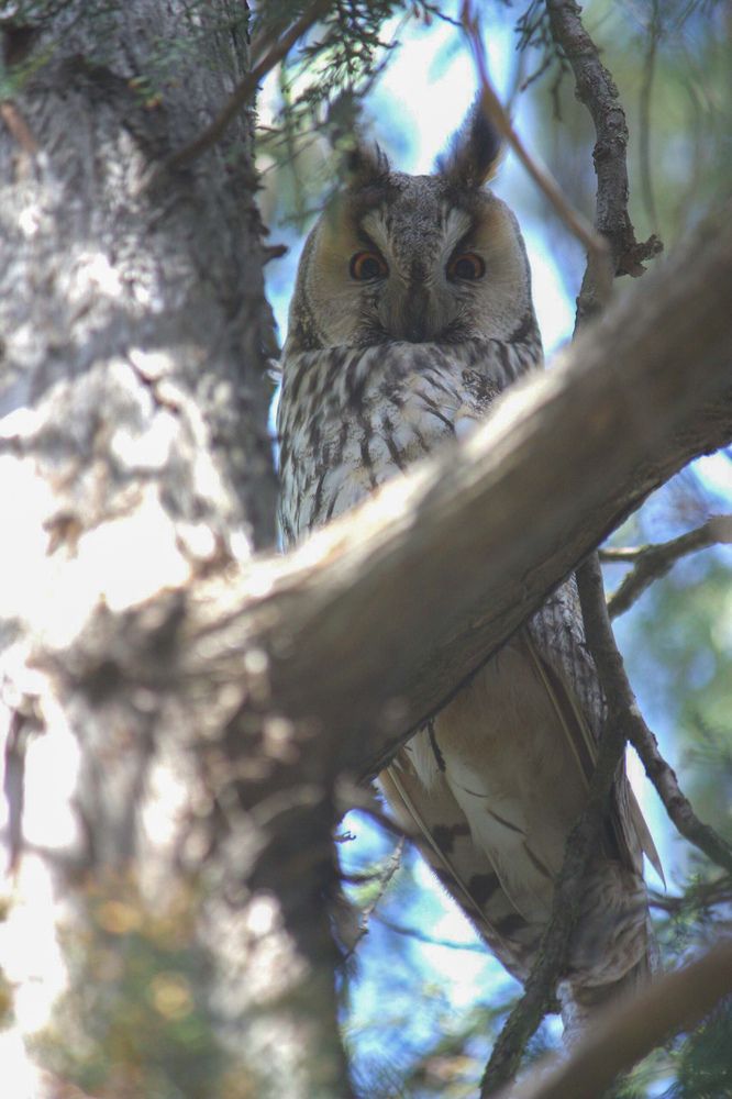 Photograph by Титова Наталья