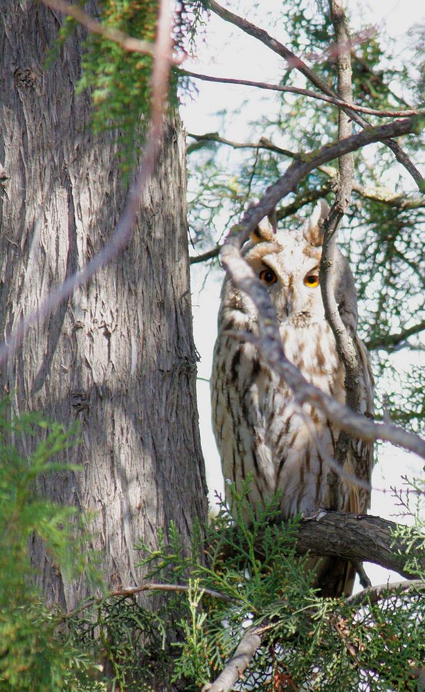 Photograph by Титова Наталья