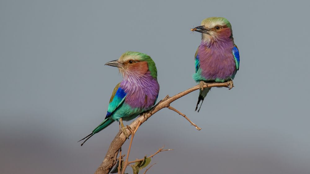 Photograph by Tania Cholwich