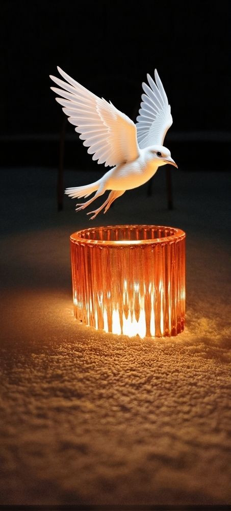 Photograph by Татьяна Стаскевич