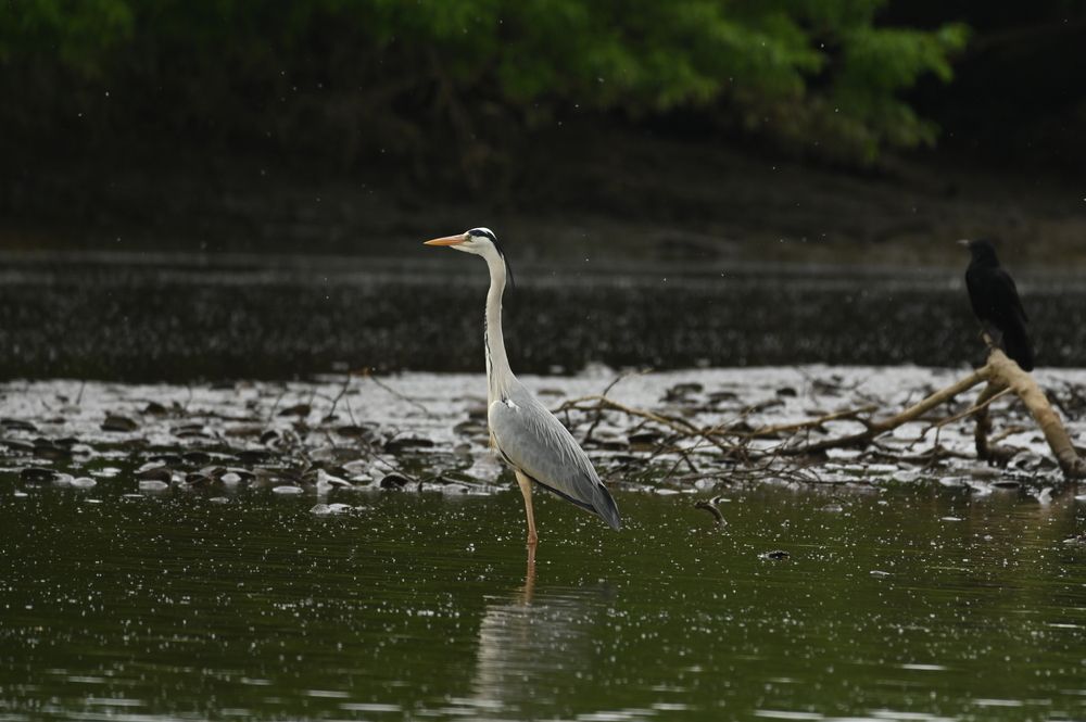 Photograph by Леонид