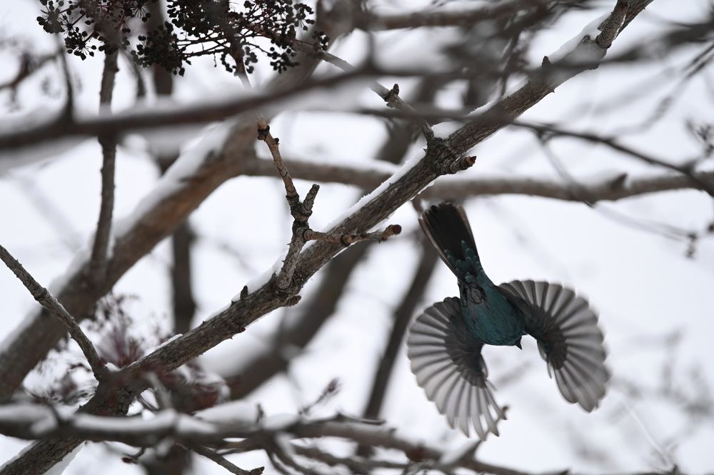 Photograph by Леонид