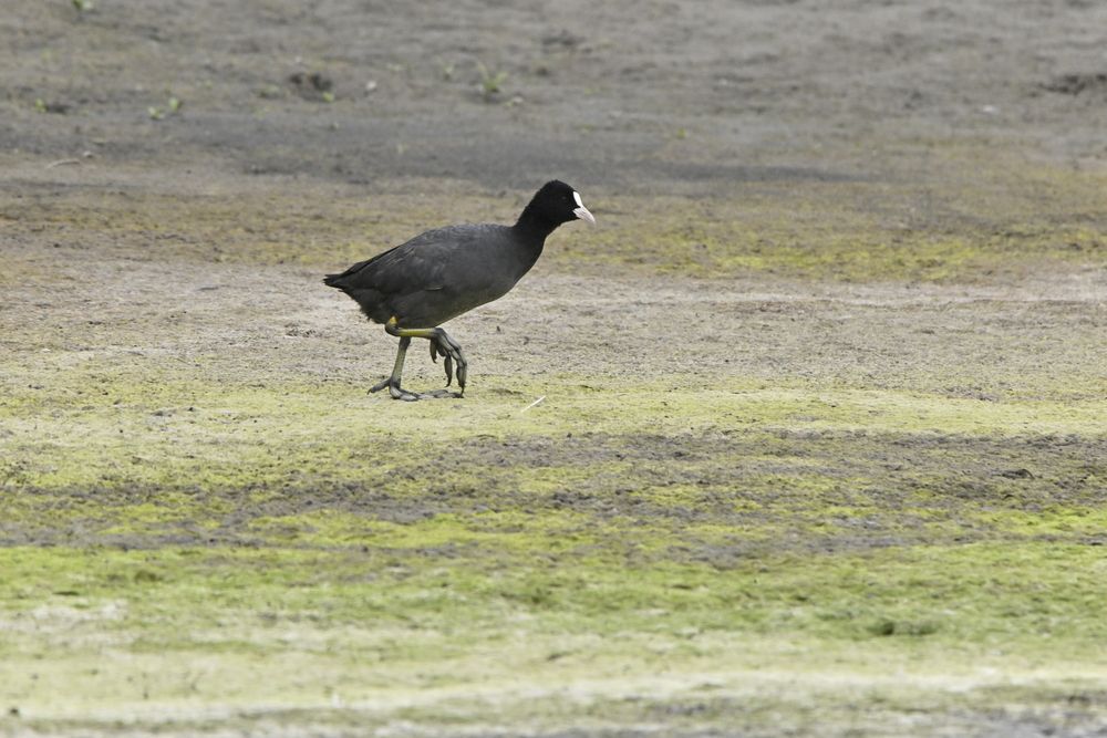 Photograph by Леонид