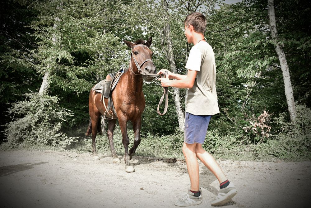 Photograph by Виктория Ткачева
