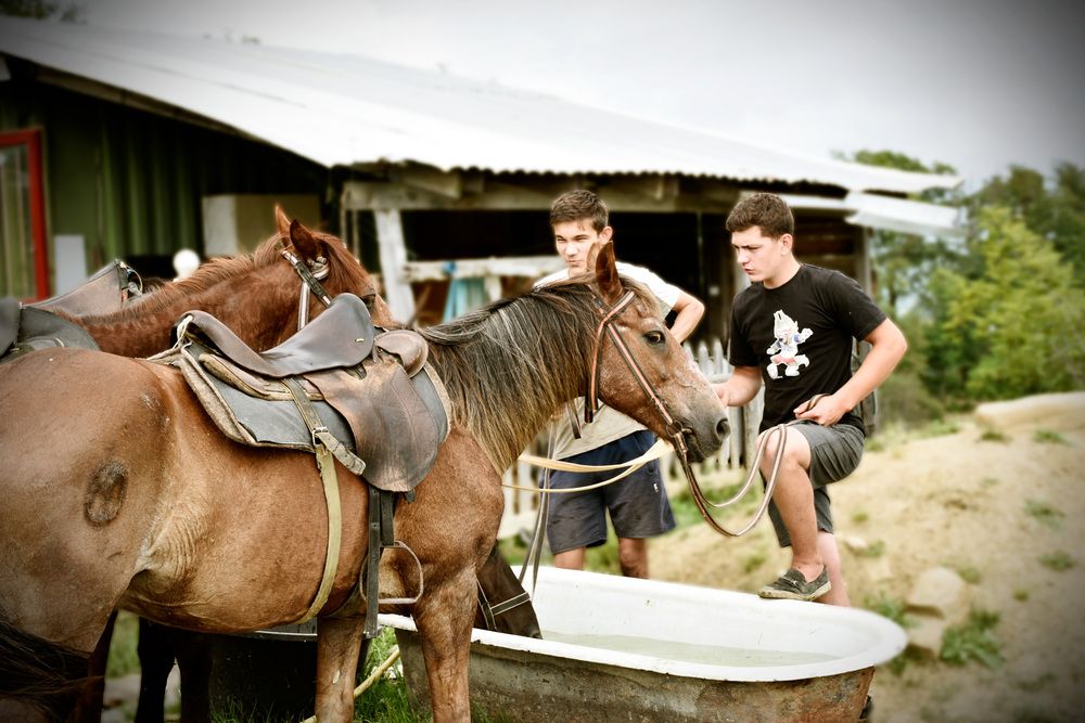 Photograph by Виктория Ткачева