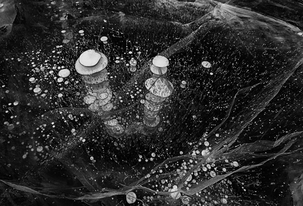 Фотография автора Павел Мартюшев