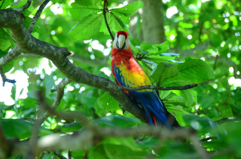 Photograph by YURY RAMITSAN