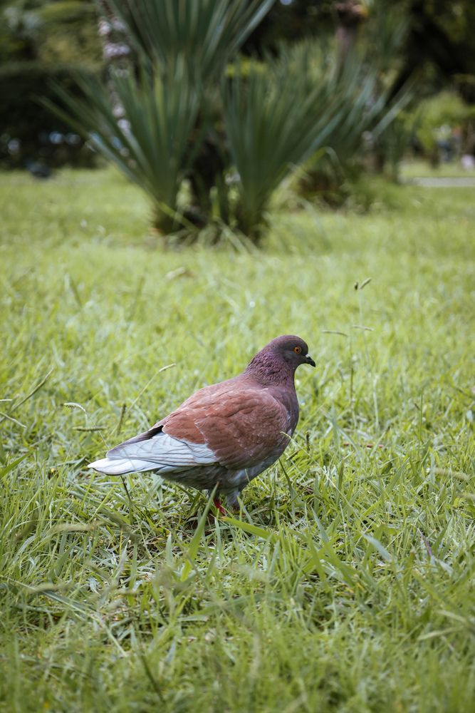 Photograph by Александра Ельникова