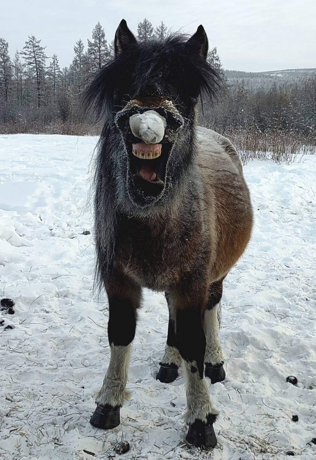 Photo #13106944