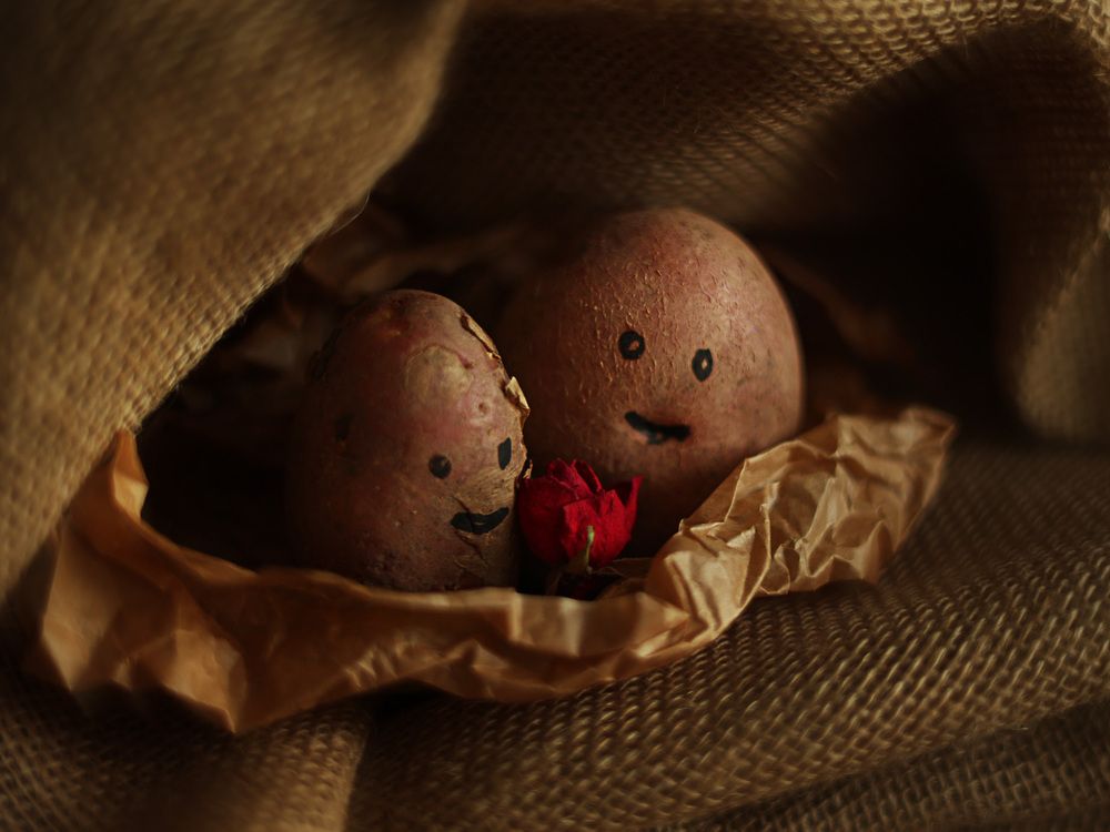 Фотография автора Ольга Зиброва